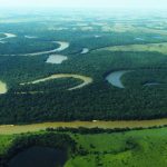 * Leonardo DiCaprio aplaudió en redes la declaratoria de la Serranía de Manacacías en San Martín de los Llanos, Meta, como Parque Nacional Natural de Colombia.