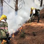 Más 12 horas llevan los bomberos luchando contra las llamas  Foto FF.MM.