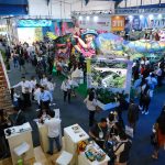 La Vitrina Turística de ANATO 2024, congregó a  cerca de los 50.000 profesionales del sector