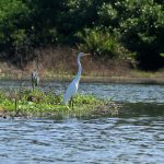 Inversión al noreste de Colombia persigue restauración de ecosistemas