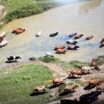 Inundaciones en la Mojana