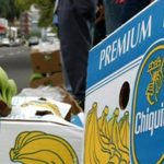 Las víctimas de la violencia de los grupos paramilitares en el Urabá y el Magdalena ganaron su caso ante una corte estadounidense, luego de denunciar que esta empresa financió a las Autodefensas Unidas de Colombia.