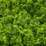 En su Informe anual sobre la Estrategia Internacional para el Control de Estupefacientes, el Departamento de Estado resalta que Colombia logró cifras récord de interdicción de cocaína en 2024.