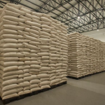 Bultos de arroz de exportacion