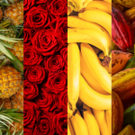 Las exportaciones del grupo de productos agropecuarios, alimentos y bebidas aumentó en marzo de 2025 en un 50,9 por ciento en Colombia comparado con el mismo período del año anterior, según destaca hoy una entidad gubernamental.