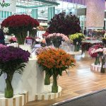 Este encuentro internacional, organizado por Asocolflores, ratifica a las Flores de Colombia como referente global, marcando las tendencias mundiales de la temporada 2025-2026,