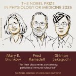 Mary Brunkow, Fred Ramsdell y Shimon Sakaguchi fueron galardonados con el Premio Nobel de Medicina en 2025