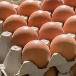 La producción de huevos de Colombia superará los 19 mil 500 millones de unidades en 2025, lo que representa un crecimiento estimado del 7,7 por ciento frente al año precedente, según difundió hoy una fuente autorizada.