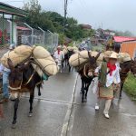 Los arrieros se tomaron las calles de neira para llegar a pueblorrico donde fueron recibidas como.las protagonistas