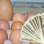 Estos huevos se emplearán para la industria alimentaria como pastelería, galletería, mayonesas, salsas y productos horneados.