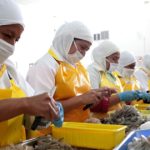 La presidenta ejecutiva de la Cámara de Industrias y Producción de Ecuador, María Paz Jervis, estimó hoy que cerca de 200 mil empleos estarían en riesgo debido a las medidas arancelarias impuestas por el presidente Daniel Noboa a Colombia.