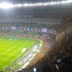 Marea amarilla inunda México