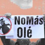 A partir de ahora, organizar una corrida de toros en Colombia ya no será tan sencillo como reservar una plaza, contratar un cartel de toreros y vender boletería