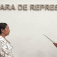 Ana Paola García, Presidenta de la Comisión de Infancia y Adolescencia