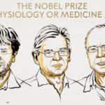 El Premio Nobel de Fisiología o Medicina 2026 fue concedido este 5 de octubre a los investigadores Karl Deisseroth, Peter Hegemann y Georg Nagel por sus descubrimientos fundamentales sobre los canales iónicos activados por luz y el desarrollo de la optogenética