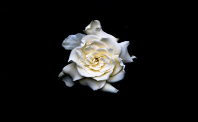 En memoria de Herminsul Mejía Loaiza