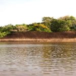 Río Bita, Vichada
