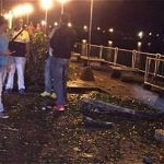 Petardo en Tumaco