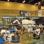 AGroexpo