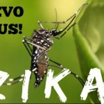 virus del Zika