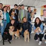 Pardo hospital atención animal (1)