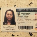 Faraona de la Coca33