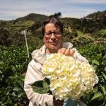 Floricultores del Eje Cafetero