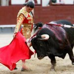 corrida-de-toros