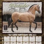 XXI EXPOSICION EQUINA GRADO B-NEIRA