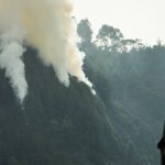Llamas en los cerros