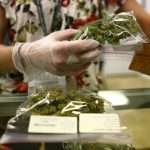 Lakewood, CO - MARCH, 4:  Sales associate, Crystal Guess packages up a patient's cannabis inside a Good Meds medical cannabis center in Lakewood, Colorado, U.S., on Monday, March 4, 2013.   This is at a Good Meds medical cannabis center in Lakewood, and is one of the facilities that Kristi Kelly, Co-Founder of Good Meds Network, operates.

(Photo by Matthew Staver/For The Washington Post via Getty Images)