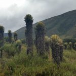 Parques naturales regionales en Boyaca