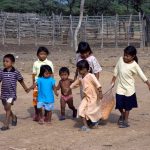 niños wayuu