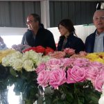 San Valentín con flores colombianas2