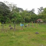 Reclamantes de Tierras