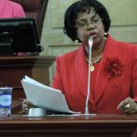 Plenaria de la Caámara Guillermina Bravo