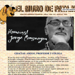 EDICIÓN 331 EL MURO DE PATA.N