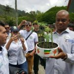 Gobierno protegerá la palma de cera del Quindío