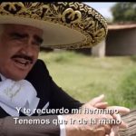 vicente-fernandez