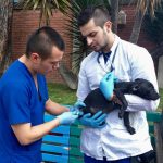 bogota-la-primera-ciudad-del-pais-en-contar-con-un-instituto-de-proteccion-y-bienestar-animal4
