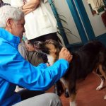 bogota-la-primera-ciudad-del-pais-en-contar-con-un-instituto-de-proteccion-y-bienestar-animal2