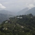 SANTABARBARALASHERMOSAS1CC