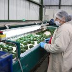 Radica proyecto de ley de adecuación de tierras