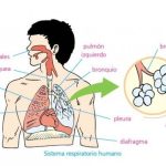Infecciones Respiratorias Agudas