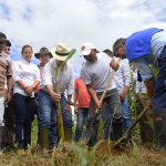 Con el acto de arrancar una mata de coca y remplazarla por una de plátano, el Presidente Santos, el Alto Consejero Rafael Pardo y el Embajador estadounidense Kevin Whitaker iniciaron en Uribe (Meta) el programa de sustitución en Colombia.