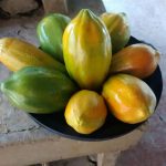 Frutas Colombianas