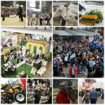 Finaliza Agroexpo 2017