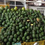 Aguacate