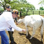 controles-aftosa-min-iragorri