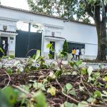 Jardines_visita_papa (2)